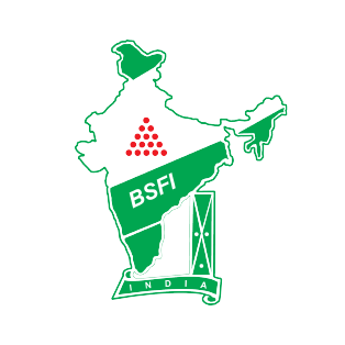 BSFI logo